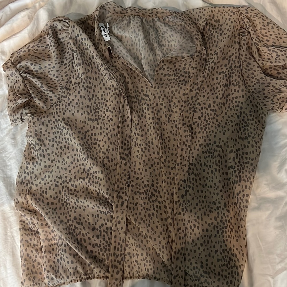 Express Blouse